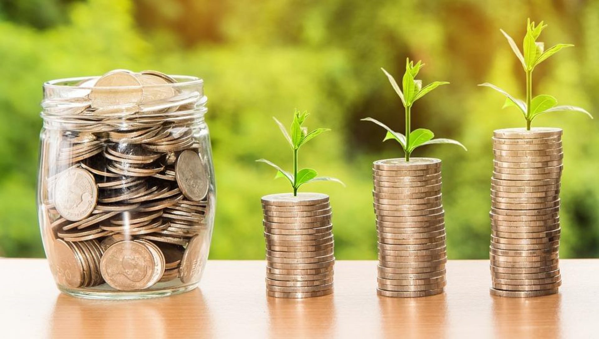 Economia Sustenabilă