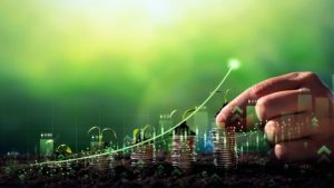 Investițiile verzi