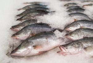 Sea bass australian – peștele oceanic ce pătrunde puternic pe piața românească, impresionând prin calitate și preț